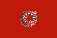 肇庆鼎湖回收红酒